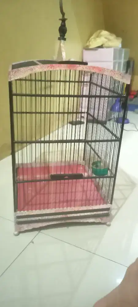 Jual daripada anker bekas kenari