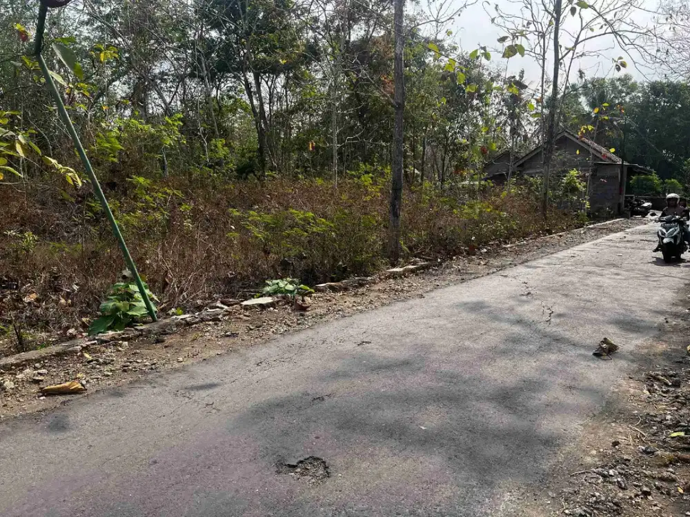Jual tanah murah butuh uang pinggir jalan raya wisata Bejiharjo karangmojo Gunungkidul shm