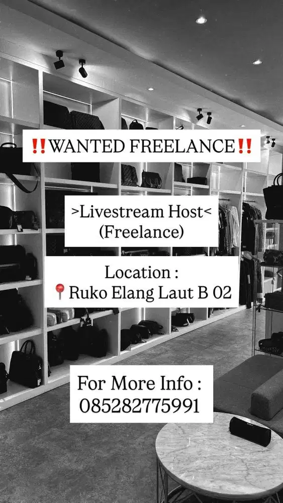 Freelance Host Livestream