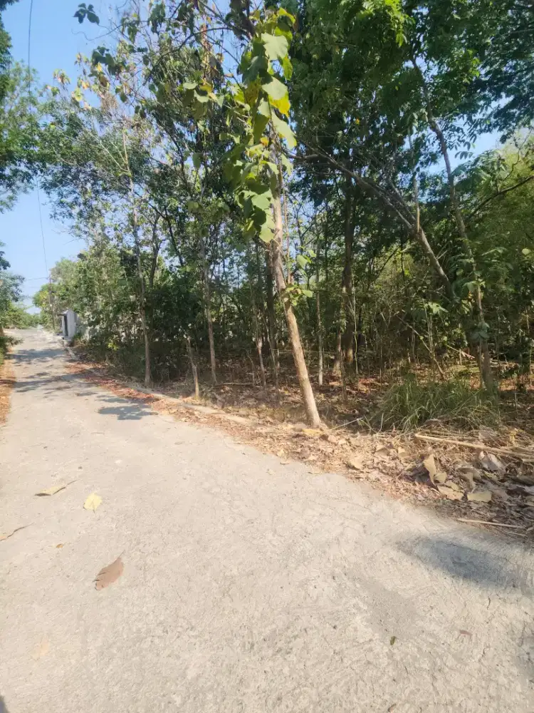 Pekarangan murah kebakramat