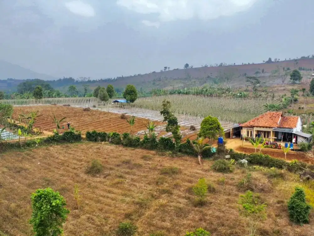 Dijual Tanah + Rumah Pinggir Jalan Dekat Tol Darangdan Purwakarta