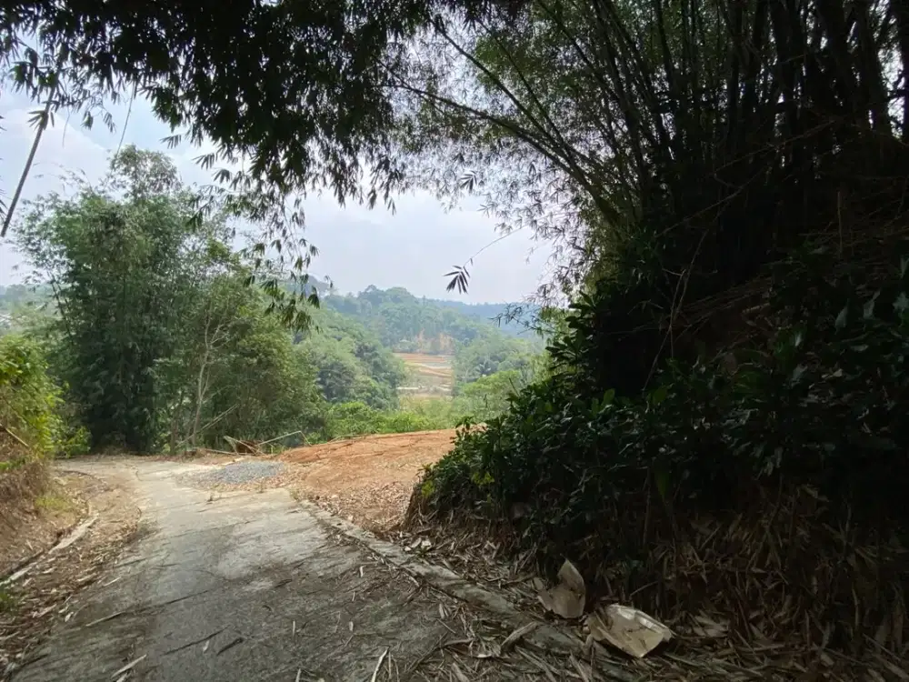 Dijual Murah Tanah Kebun 1792 m2 Akses Mobil di Wanayasa Puwakarta