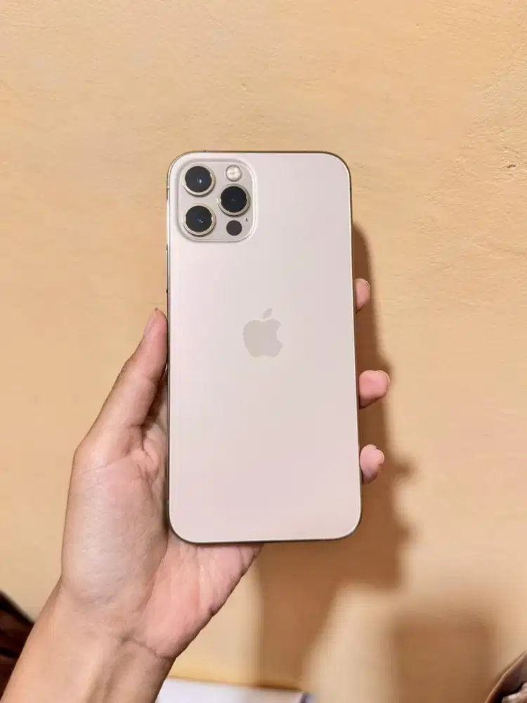 Iphone 12 Pro 256GB Inter