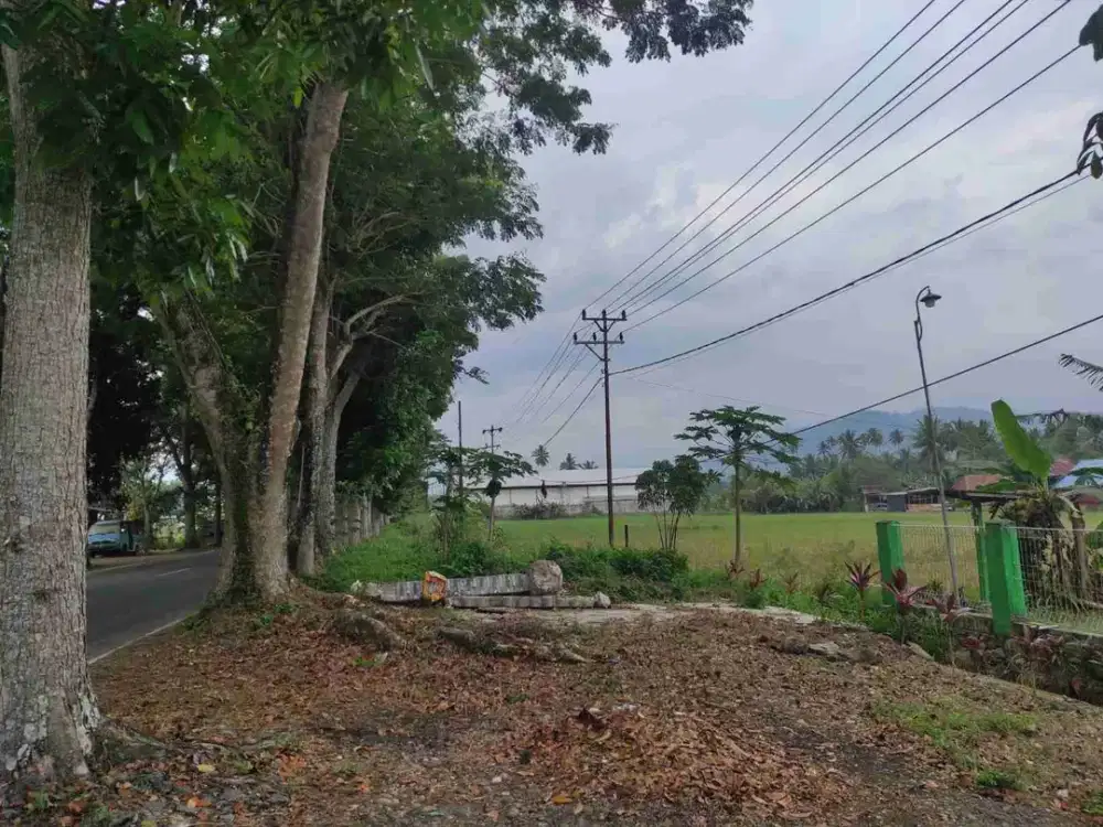 DIJUAL CEPAT TANAH STRATEGIS DAERAH KOTAMOBAGU, HARGA MURAH