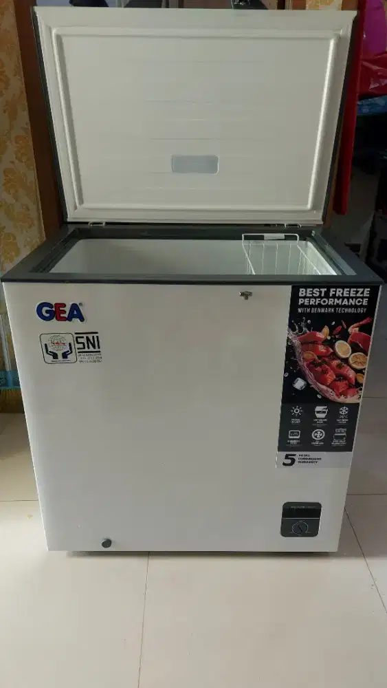 Freezer GEA AB208R