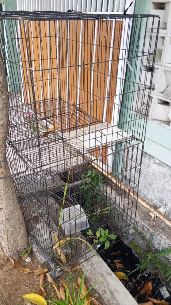 Dijual kandang kucing