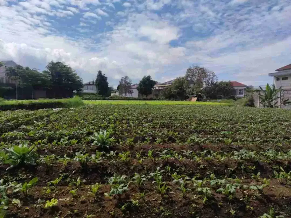 termurah! jual rugi tanah setiabudi regency di bawah njop bandung utara