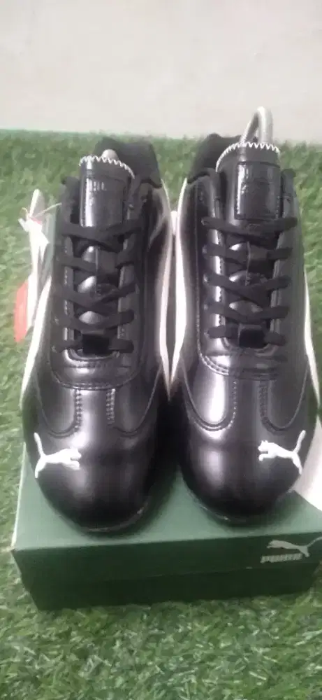Puma rossie full kulit