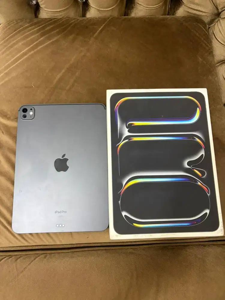 Ipad Pro M4 256GB Wifi Only