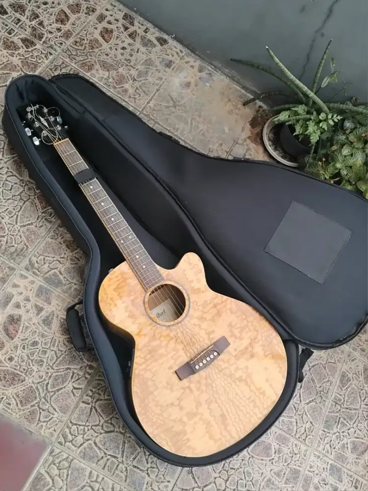 Gitar Akustik Elektrik CORT AB eksotis wood