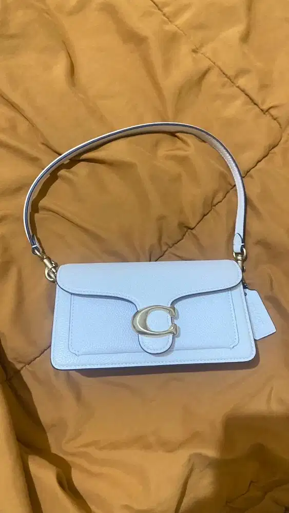 Tabby Coach Bag
