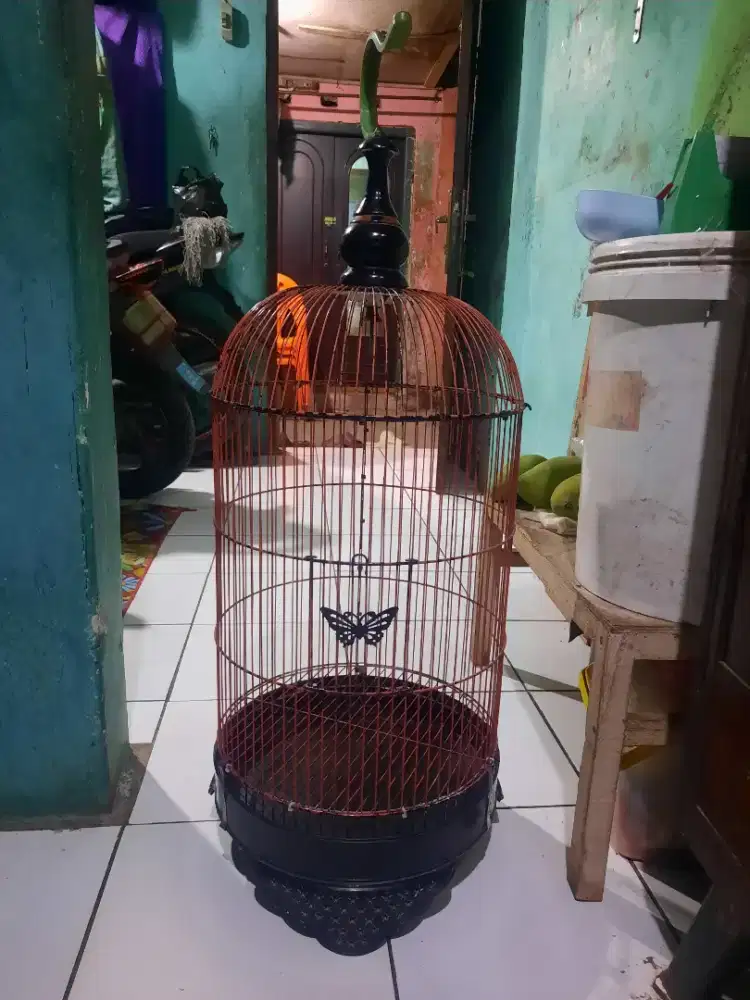 Kandang/Sangkar lb layak pakai