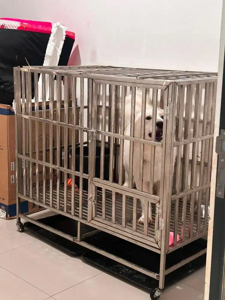 Kandang Anjing Stainless Steel
