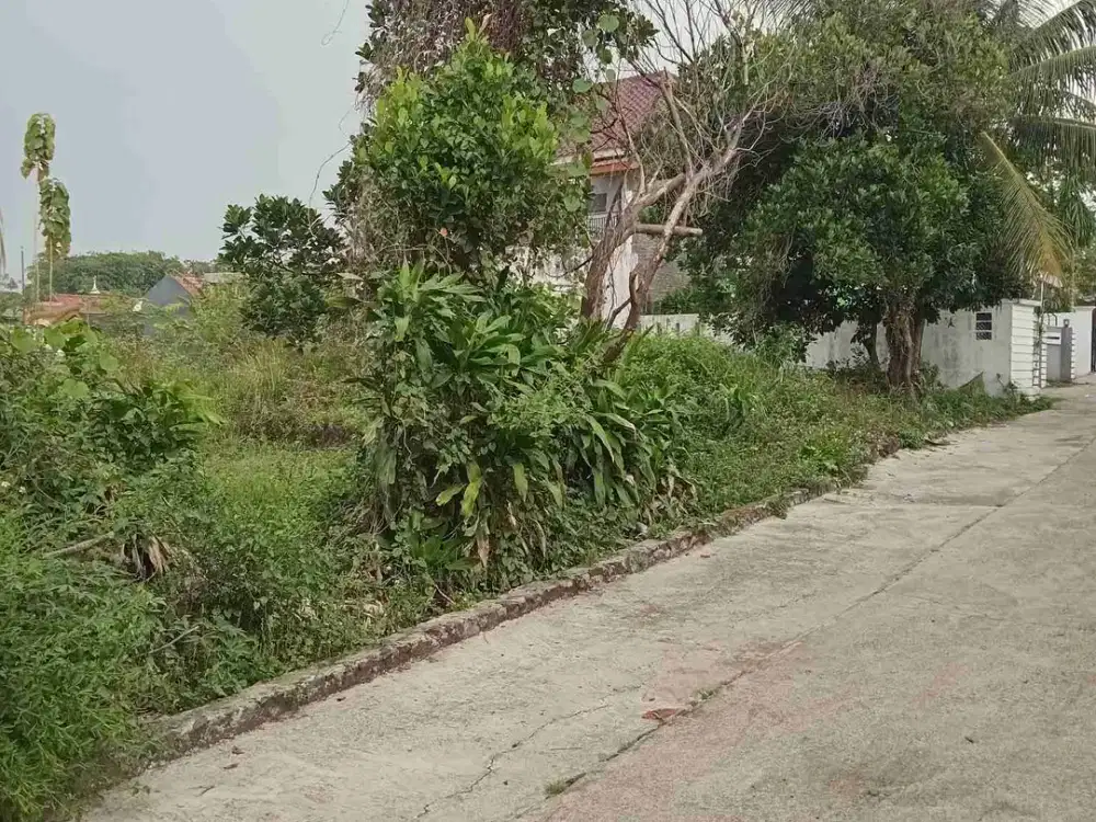 Tanah Murah 50 mtr Jl. Pemda Cibinong