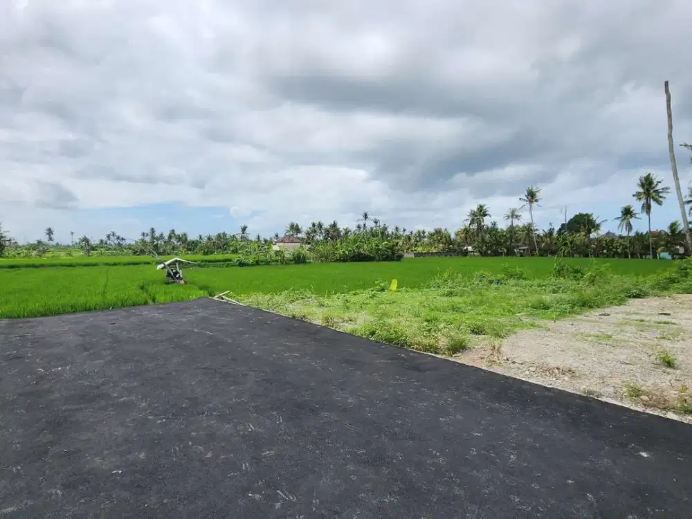 Tanah kavling dengan view sawah berlokasi strategis di Pering, Blahbatuh, Gianyar.