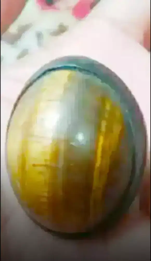 Batu Akik Serat Macan Jumbo