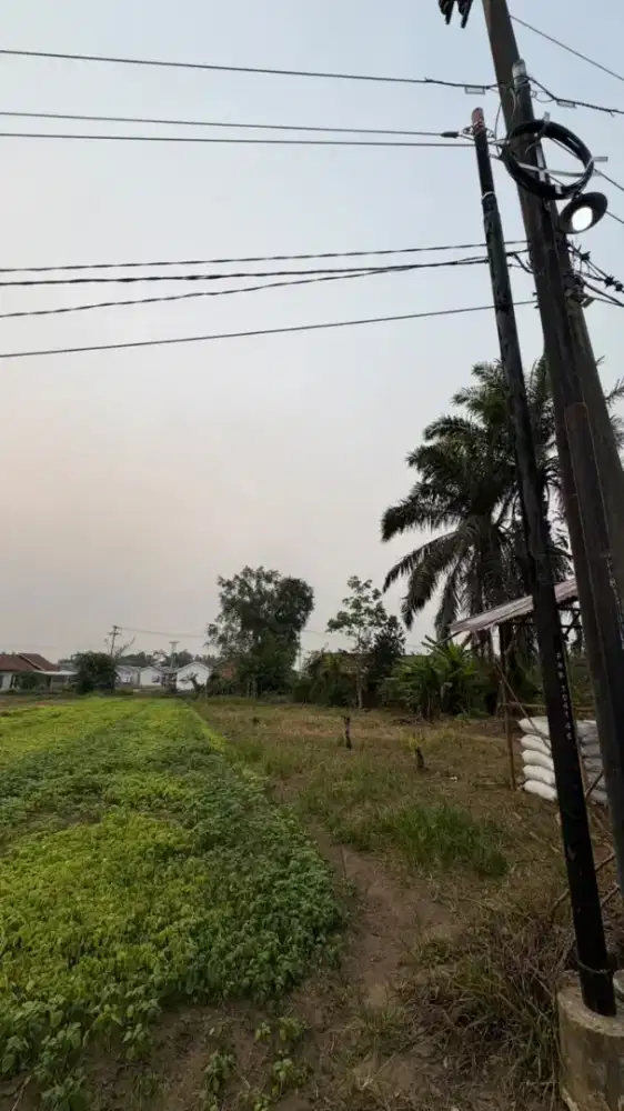 DI JUAL MURAH TANAH HAK MILIK TANPA PRANTARA
