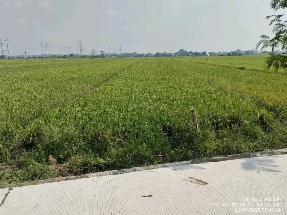 Raya Sarirogo, Sidoarjo