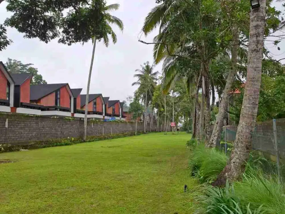 Tanah Yellow Zone di Kedewatan Ubud Bali