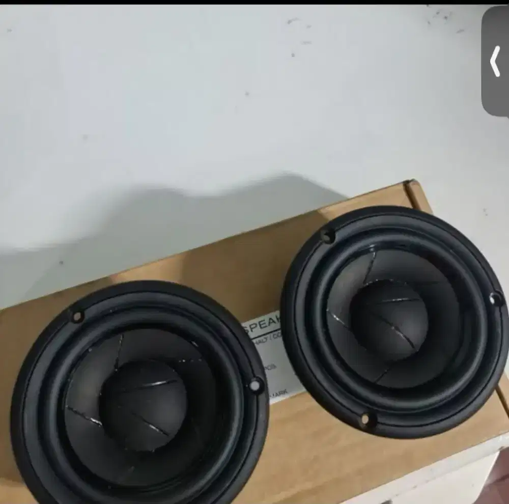 Scanspeak 12M midrange