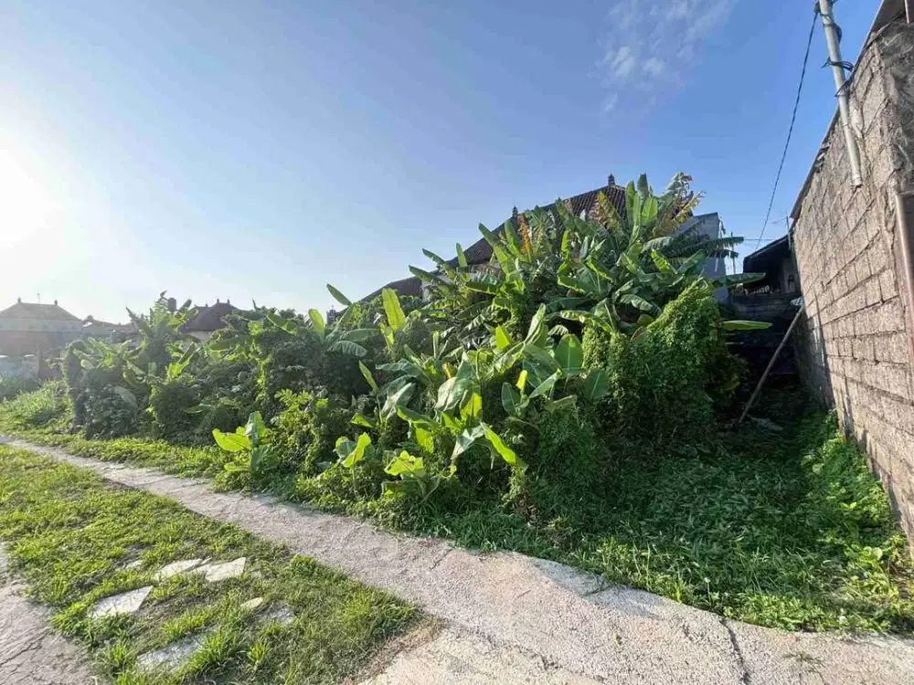 dijual Tanah Plot kecil sangat langka dengan view sawah di Ketewel, Sukawati.