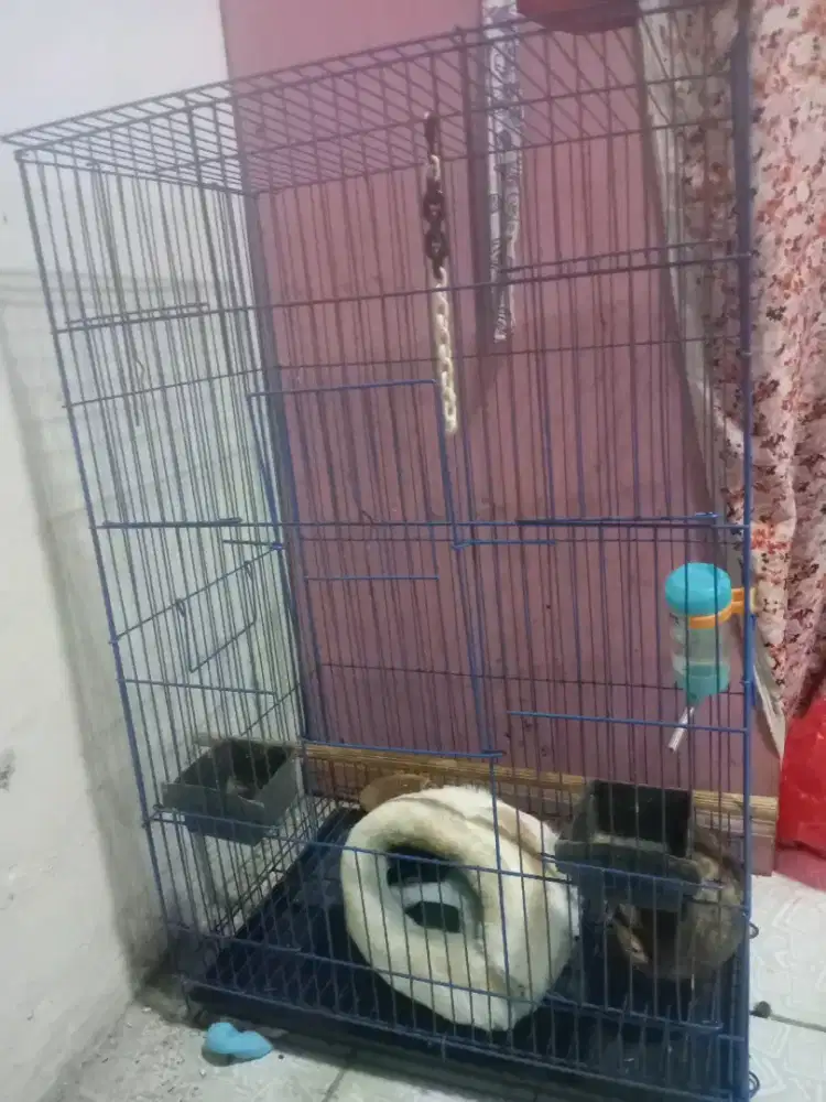 Kandang besi baru sebulan beli