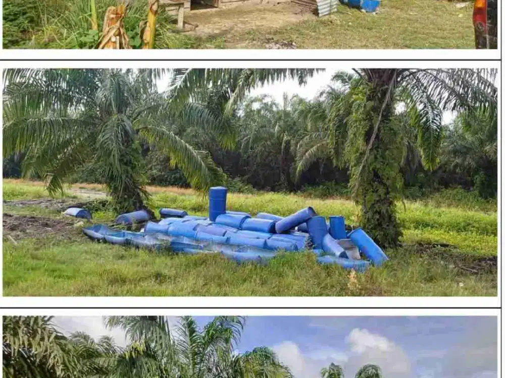 Dijual Kebun 146 Ha, di Kec Kubu Rokan Hilir