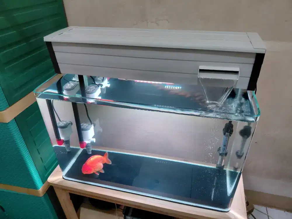 Aquarium Bending (lengkung)