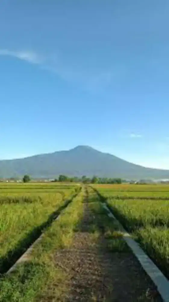 Cari pekerjaan apa saja