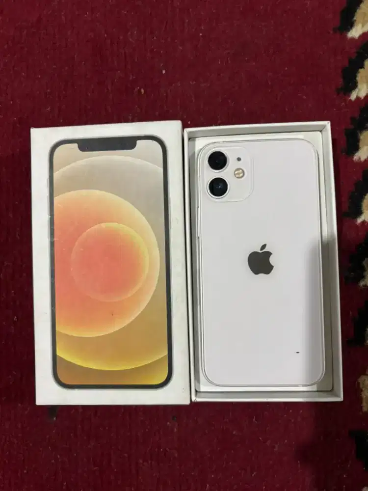 iPhone 12 mini all operator