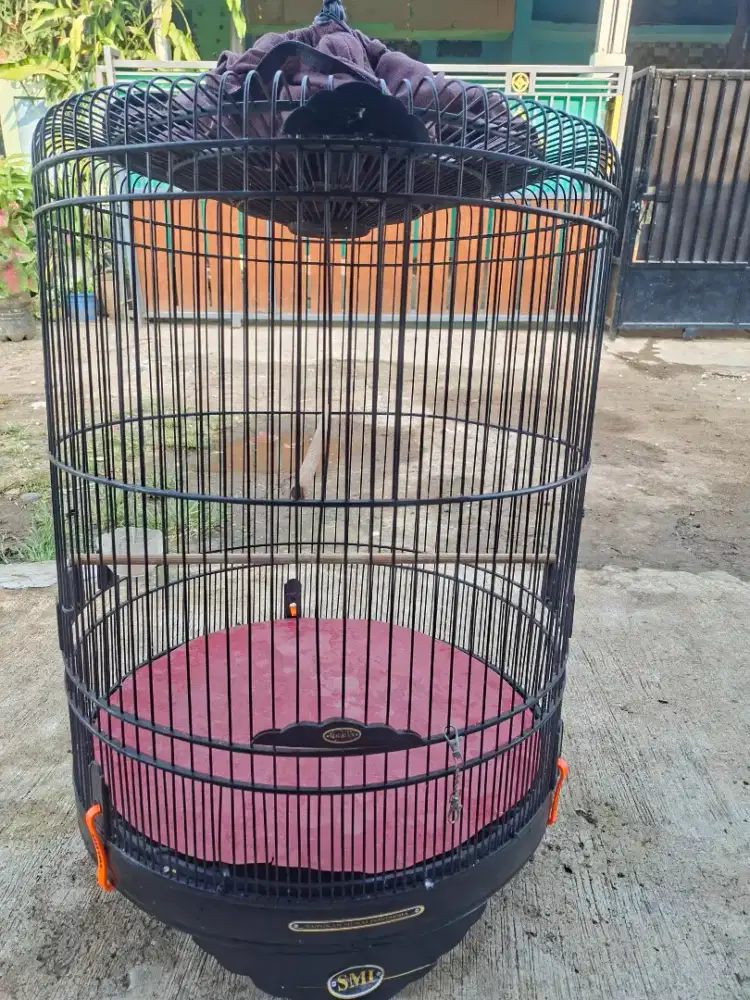 Kandang burung murai no 2