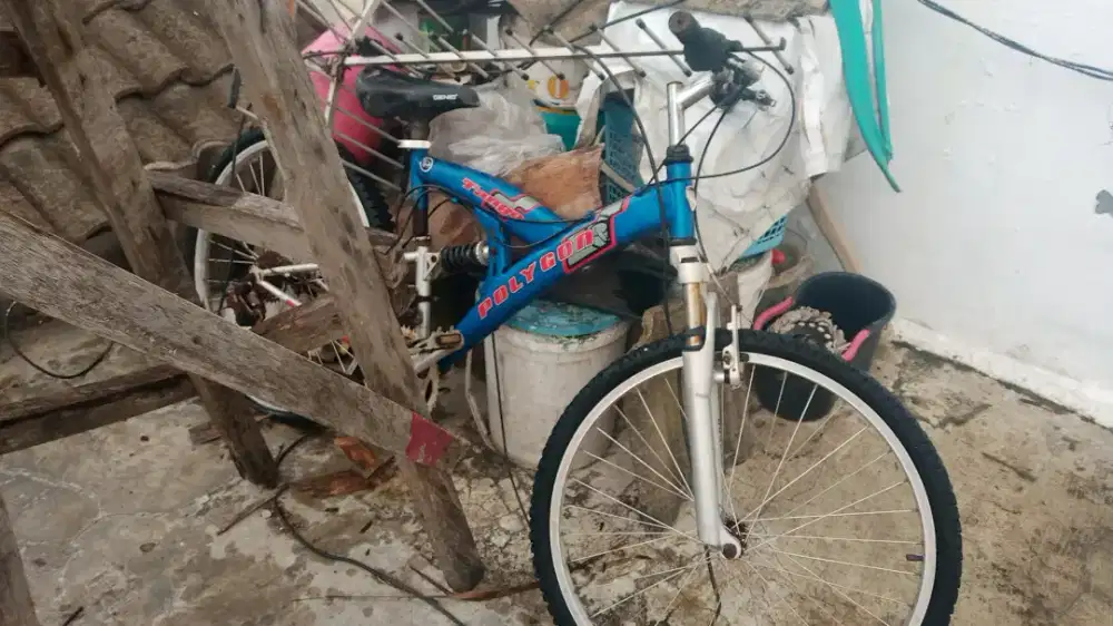 sepeda bekas polygon