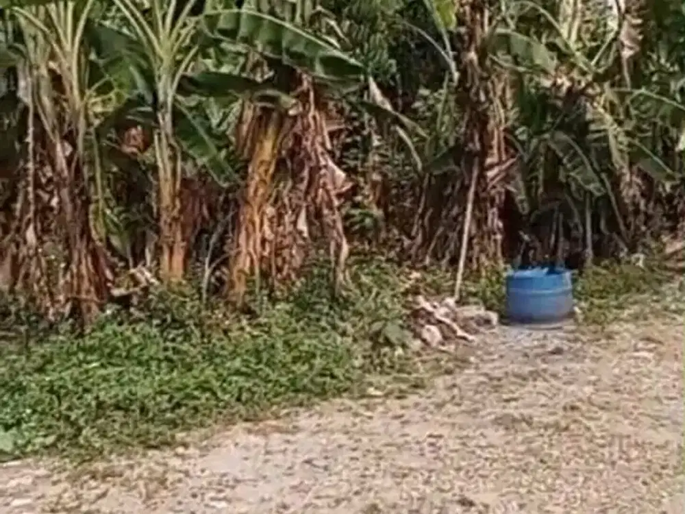 Dijual Kavling Tanah - Jatinanggor, Jatisampurna-Bekasi