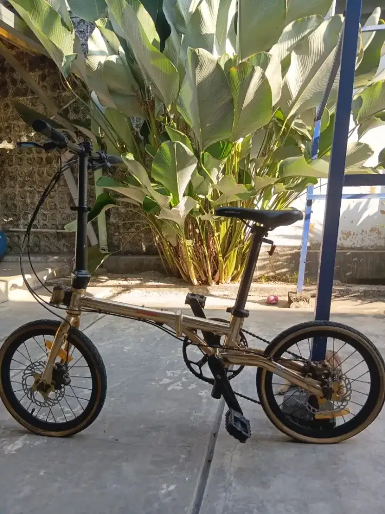 Element Troy 10 Speed