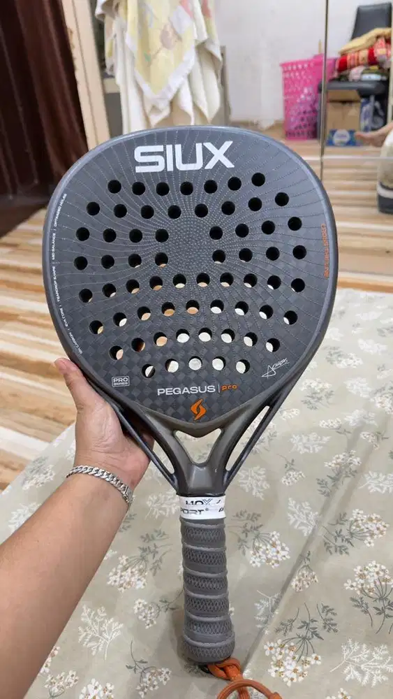 Siux Pegasus Pro 2026