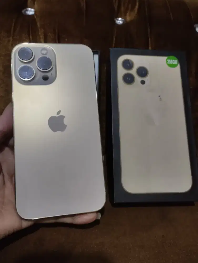 IPhone 13 pro max 256Gb gold