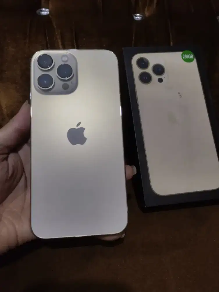 IPhone 13 pro max 256gb gold