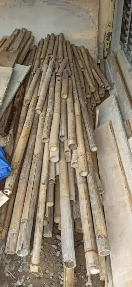 Gratis tinggal ambil..bambu steger cakung jgc