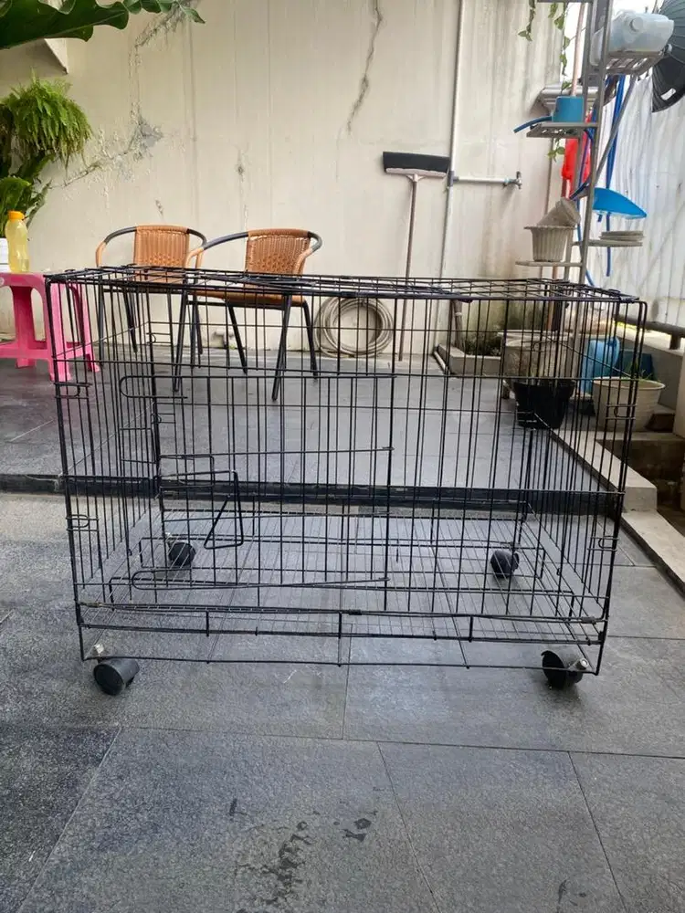Kandang Kucing Bekas