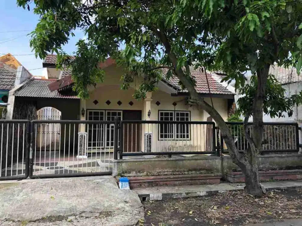 Dijual rumah Nol  jalan Raya Malang