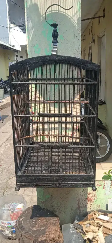 Kandang kotak no 3 minus 2 ruji MASIH OK di BSD