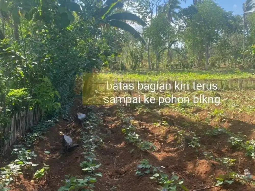 Dijual Tanah di Pardasuka, Lampung Selatan (Kode : CC ZA 3838)