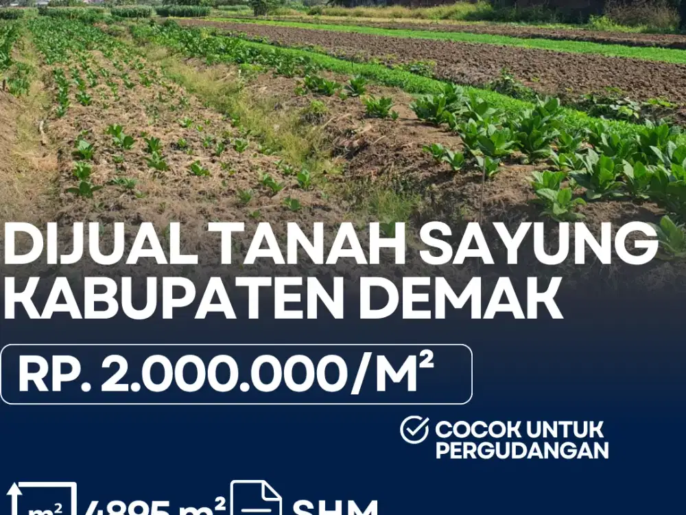 Dijual Tanah Strategis 4.895M2 di Sayung Demak - Sangat Cocok untuk Komplek Pergudangan & Industri