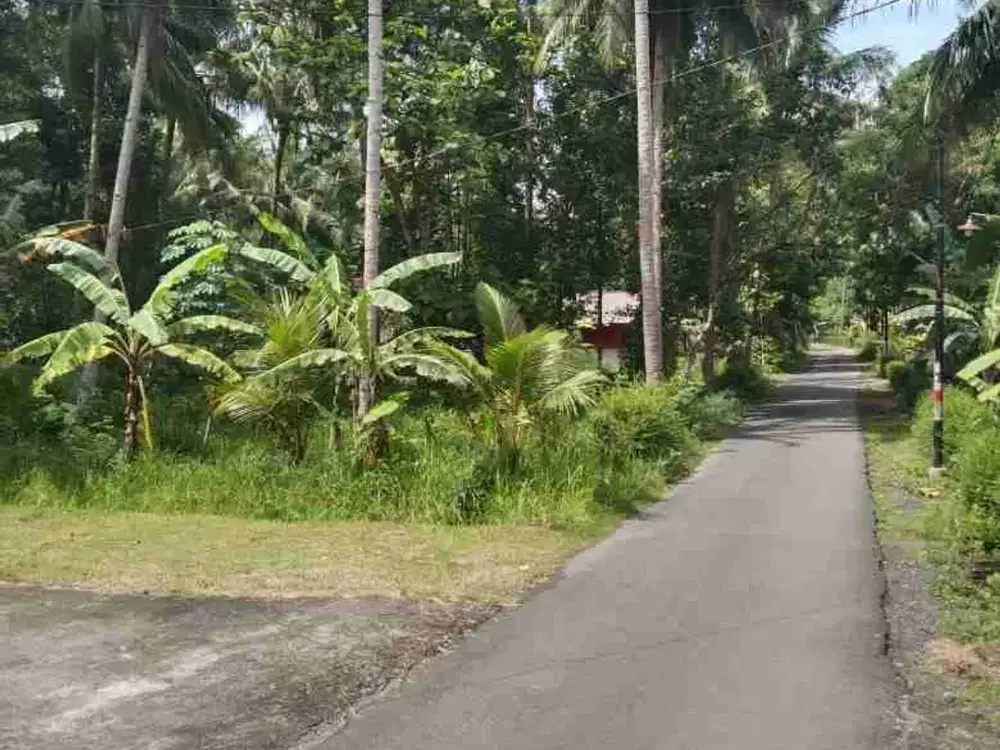 Tanah Murah di Kulur Temon Kulon Progo
