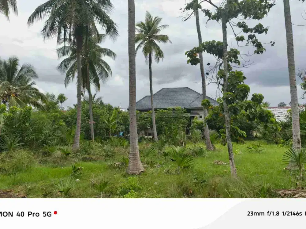 Kavling dijual di Meureudu, Pidie, Aceh