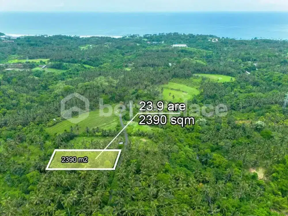 Prestigious 23.9 are Freehold Jungle Land in Balian   – A Rare Investment Opportunity Blending Natural Serenity with Coastal Elegance