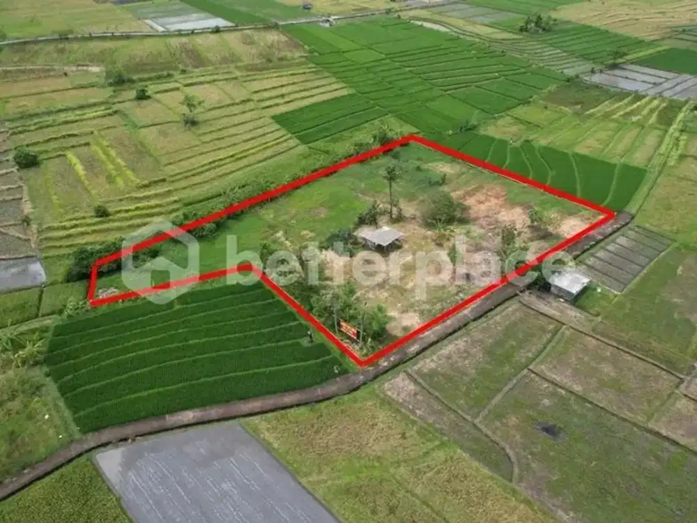Prime Freehold 35,9 Are Land Opportunity in Peaceful Nyanyi – Large Development Plot Near the Beach
