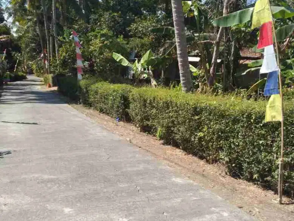 Tanah Murah di Kulur Temon Kulon Progo