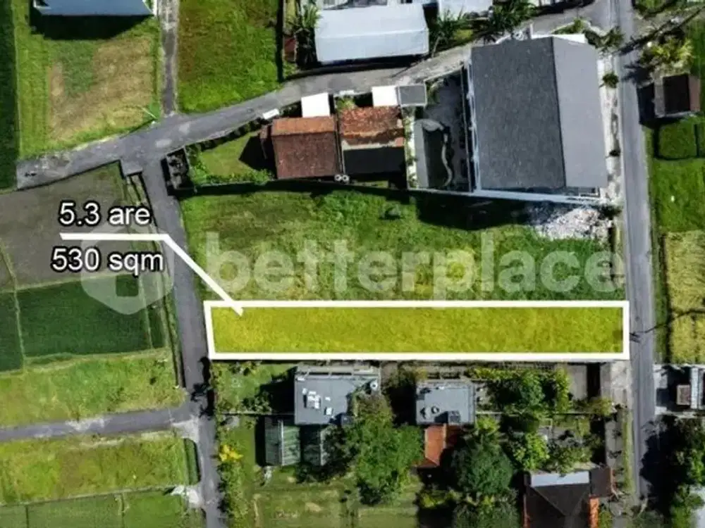 A Rare Coastal Investment in Kedungu: Prime Leasehold 5.3 are Land with Rice Field Views Just Moments from the Beach