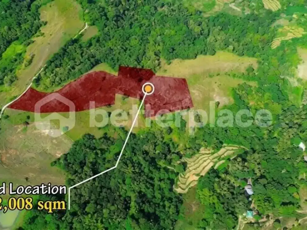 Prestigious 22,008 Sqm Freehold Property in Sumba Offering Serene Nature, Luxury Estate Potential, and Captivating Ocean Landscapes